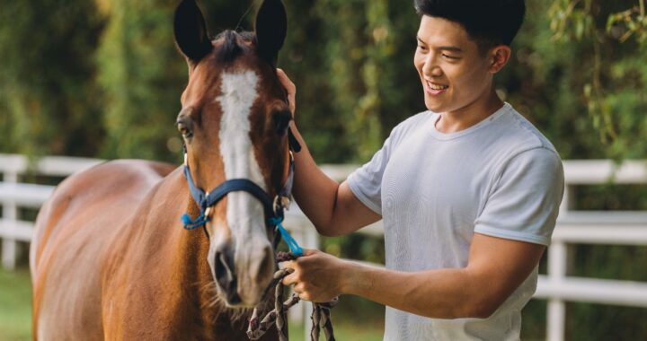 Melt your stress away with Singapore Turf Club Riding Centre’s Equine Wellness Programme