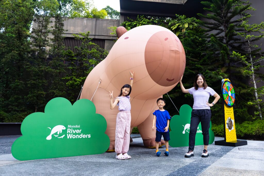 THE CAPYBARA CRAZE ARRIVES IN SINGAPORE: RIVER WONDERS LAUNCHES A MONTH ...